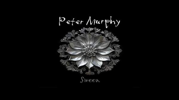 Swoon Lyrics - Peter Murphy