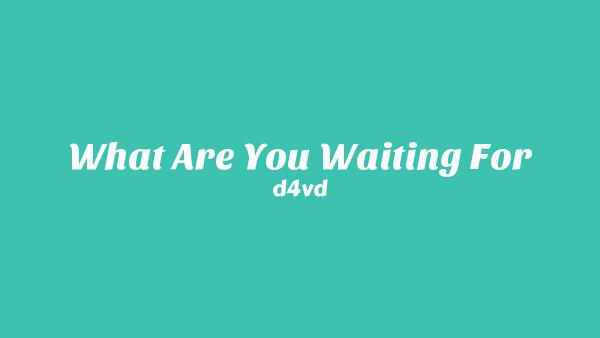 What Are You Waiting For Lyrics - d4vd