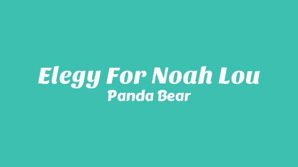 Elegy for Noah Lou Lyrics - Panda Bear
