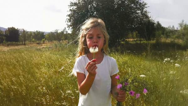 Jouw Idee Lyrics - Roxy Dekker
