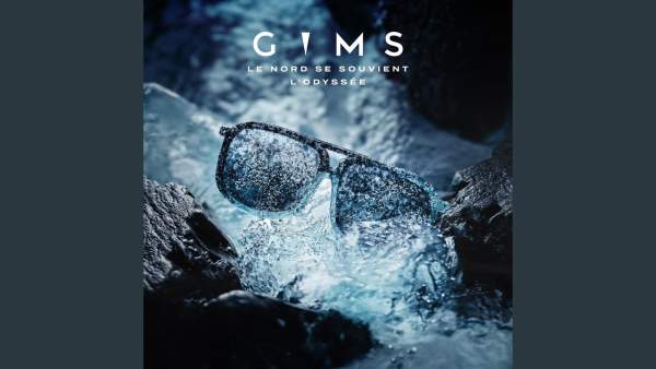 GIMS - POLIZIA Lyrics & Meaning