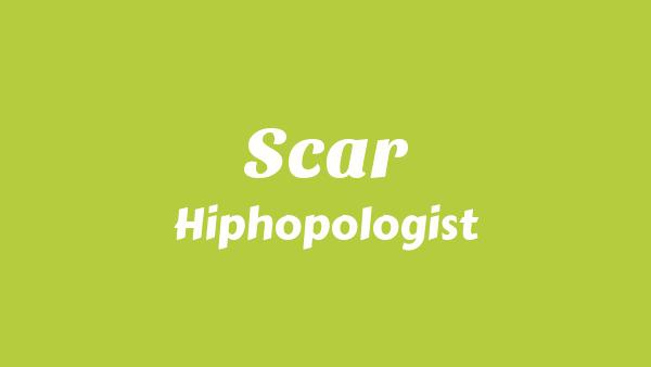 Scar Lyrics - Hiphopologist