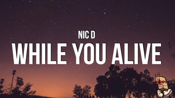 While You Alive Lyrics - Nic D