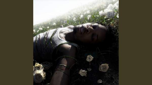 Afterlife Lyrics - d4vd