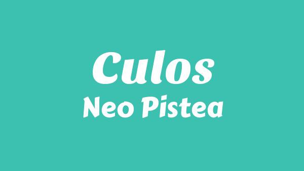 CULOS Lyrics (English Translation) - Neo Pistea