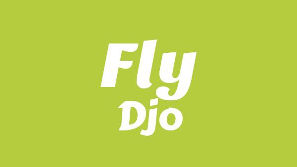 Fly Lyrics - Djo