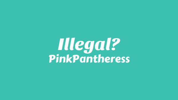Illegal Lyrics - PinkPantheress