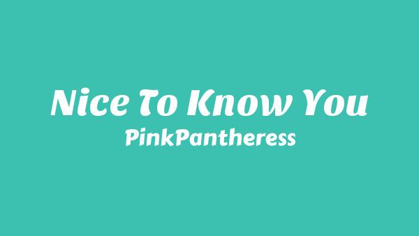 Nice to Know You Lyrics - PinkPantheress