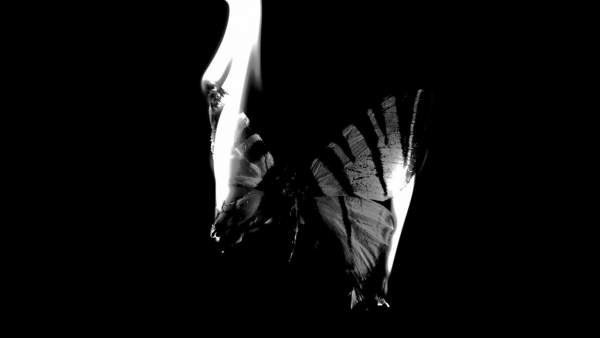 Perdutamente Lyrics - Achille Lauro