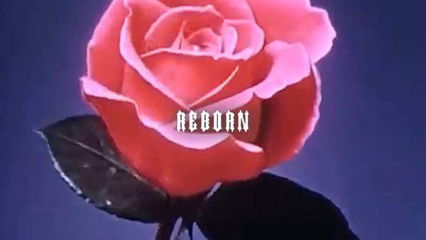 Reborn Lyrics - Scrim