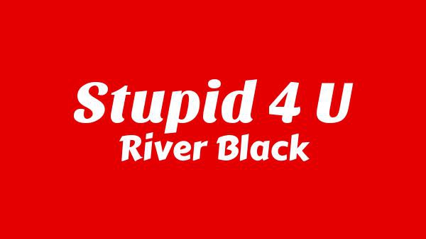 STUPID 4 U Lyrics - River Black