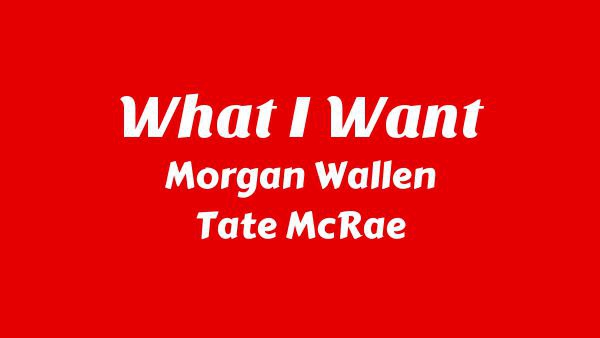 What I Want Lyrics - Morgan Wallen, Tate McRae