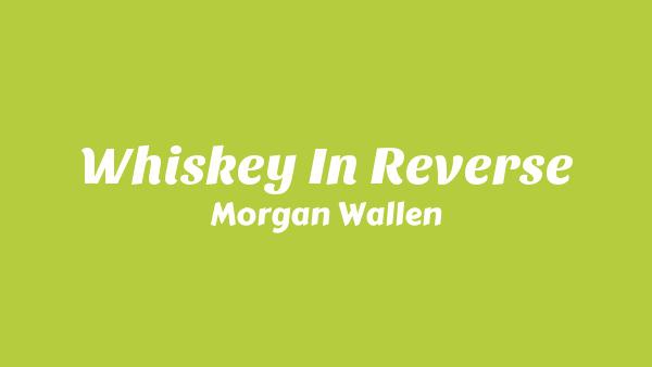 Whiskey In Reverse Lyrics - Morgan Wallen