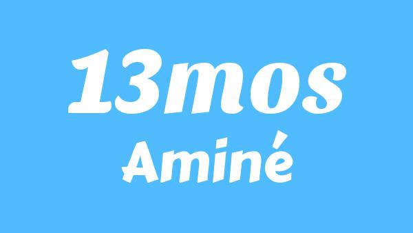 13MOS Lyrics - Aminé
