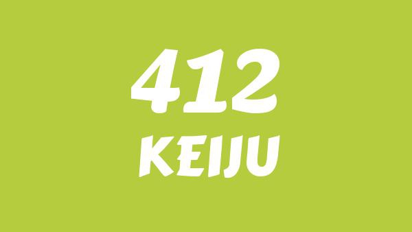 412 Lyrics - KEIJU