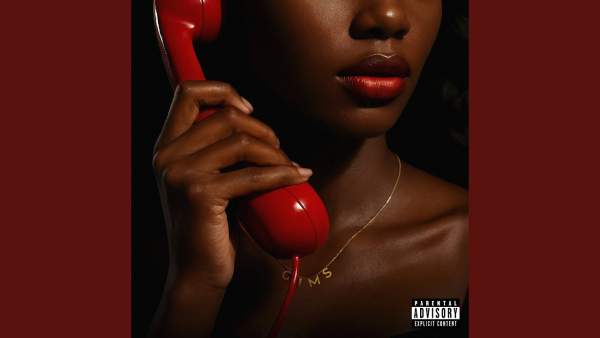 APPELLE TA COPINE Lyrics - GIMS