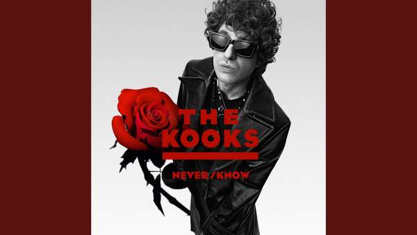 Echo Chamber Lyrics - The Kooks
