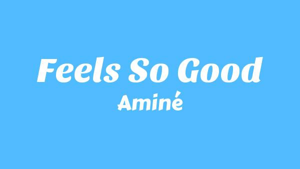 Feels So Good Lyrics - Aminé