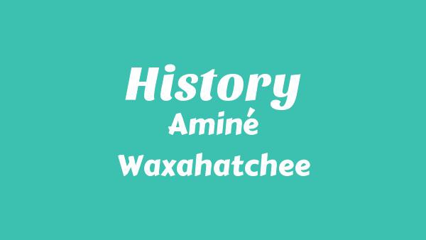 History Lyrics - Aminé, Waxahatchee