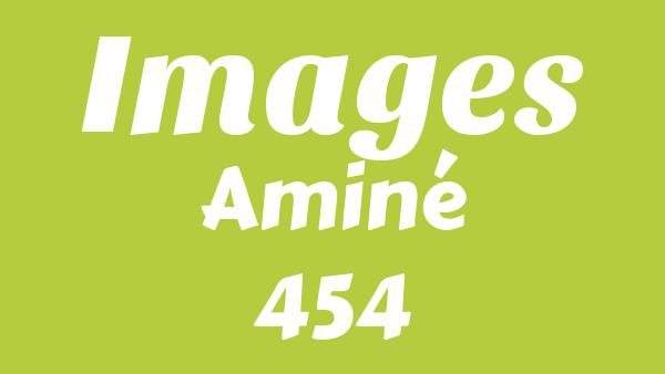 Images Lyrics - Aminé, 454, Toro y Moi