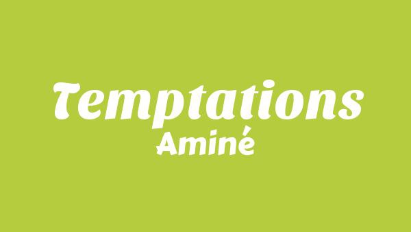 Temptations Lyrics - Aminé