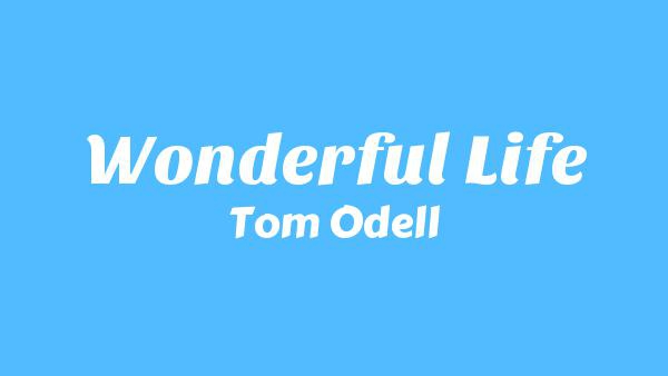 Wonderful Life Lyrics - Tom Odell