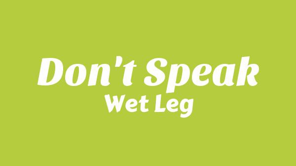 Don’t speak Lyrics - Wet Leg