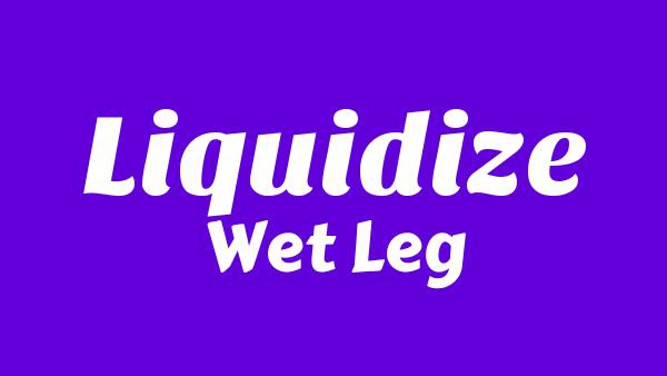 Liquidize Lyrics - Wet Leg