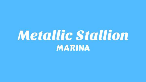 METALLIC STALLION Lyrics - MARINA