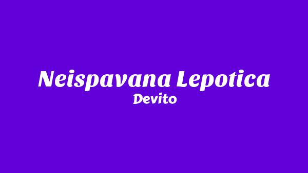 Neispavana lepotica Lyrics - Devito