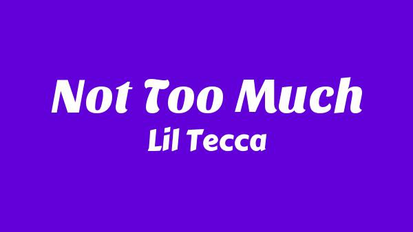 Not Too Much Lyrics - Lil Tecca