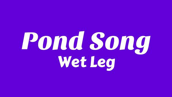 Pond song Lyrics - Wet Leg