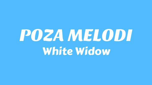 POZA MELODIĄ Lyrics (English Translation) - White Widow