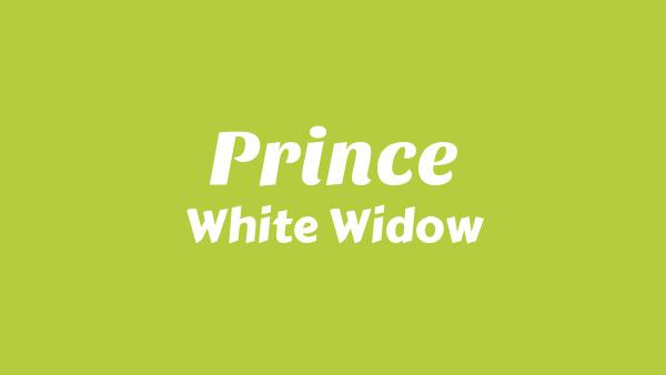 PRINCE Lyrics - White Widow