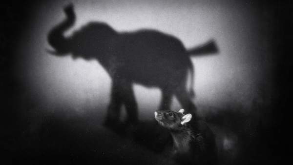 Raaat Lyrics - Chvrsi