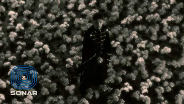 Una Flor Lyrics (English Translation) - Cris Mj