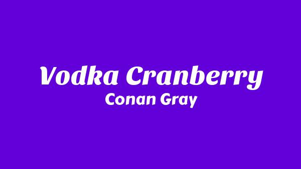 Vodka Cranberry Lyrics - Conan Gray