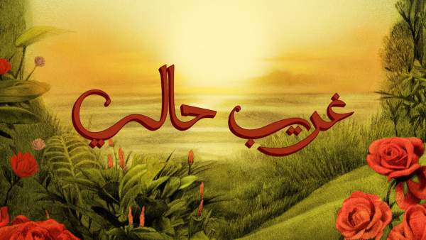 Ghareeb Haly - غريب حالي Lyrics (English Translation) - TUL8TE - توو ليت