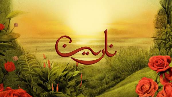 Narein - نارين Lyrics (English Translation) - TUL8TE - توو ليت