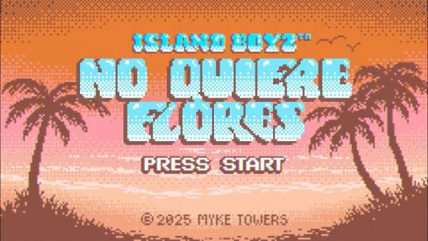 NO QUIERE FLORES Lyrics (English Translation) - Myke Towers