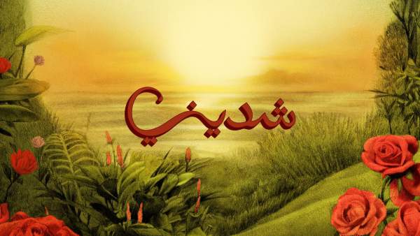Shedeeny - شديني Lyrics - TUL8TE - توو ليت