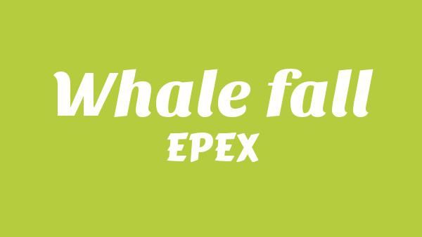 고래낙하 (Whale fall) Lyrics - EPEX