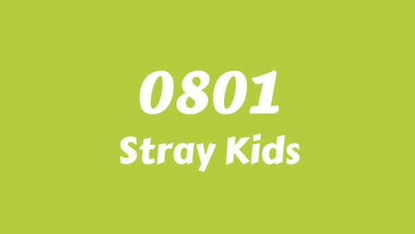 0801 Lyrics (English Translation) - Stray Kids