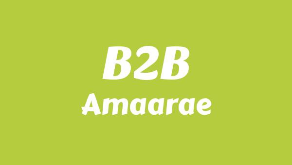 B2B Lyrics - Amaarae