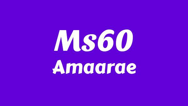 Ms60 Lyrics - Amaarae