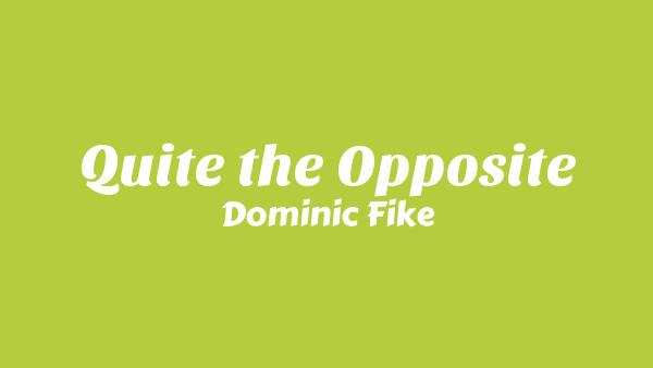Quite the Opposite Lyrics - Dominic Fike