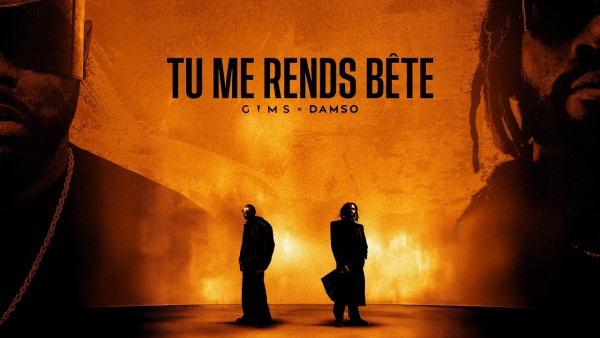 TU ME RENDS BÊTE Lyrics - GIMS