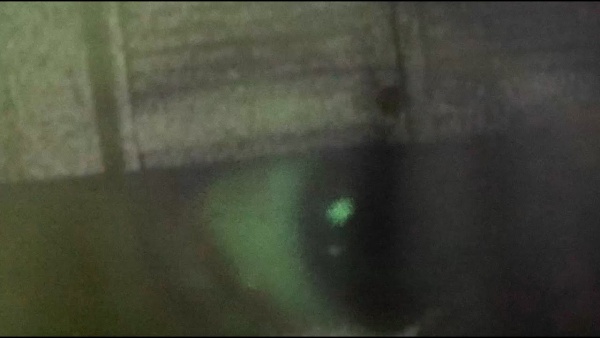 Ash Speck in a Green Eye Lyrics - AFI