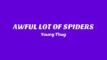 AWFUL LOT OF SPIDERS Lyrics