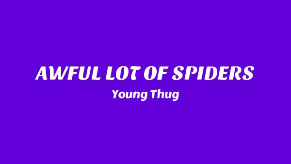 AWFUL LOT OF SPIDERS Lyrics - Young Thug